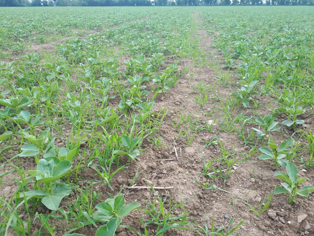 Image source: Tim Sheil