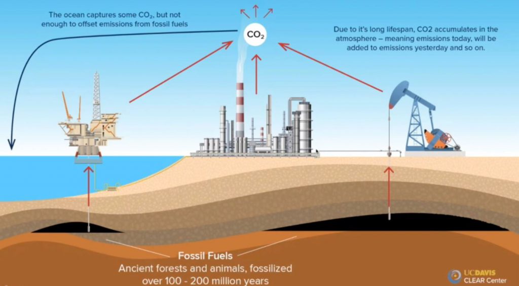 Image source: Dr. Frank Mitloehner presentation at ONE20: The Alltech Ideas Conference
