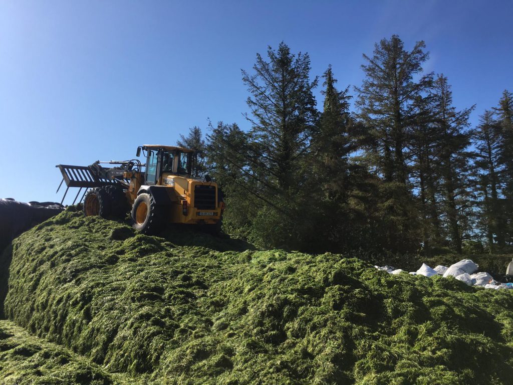 Loading shovel pushing up grass on Thursday last