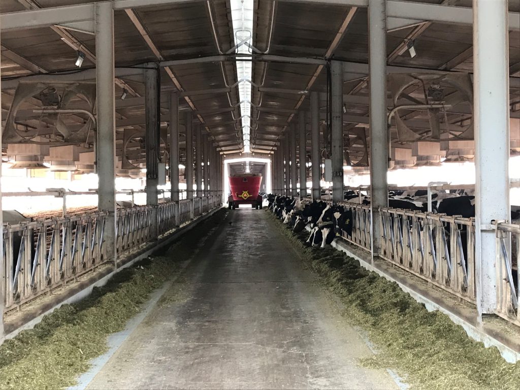 Entirely imported feeds used in the TMR rations