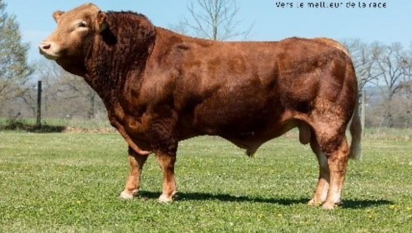 LM5983: Ix. Image source: ICBF