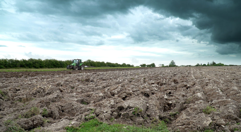 Martin Connolly preparing ground for sowing in late July, 2019