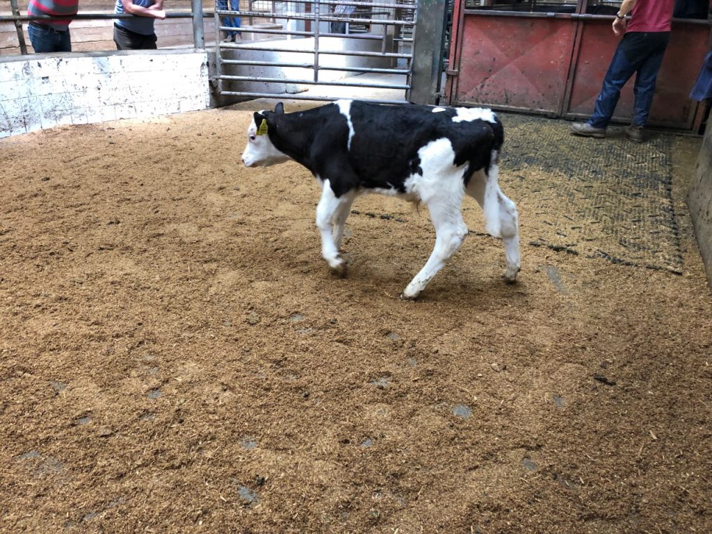 Image taken prior to Covid-19 restrictions