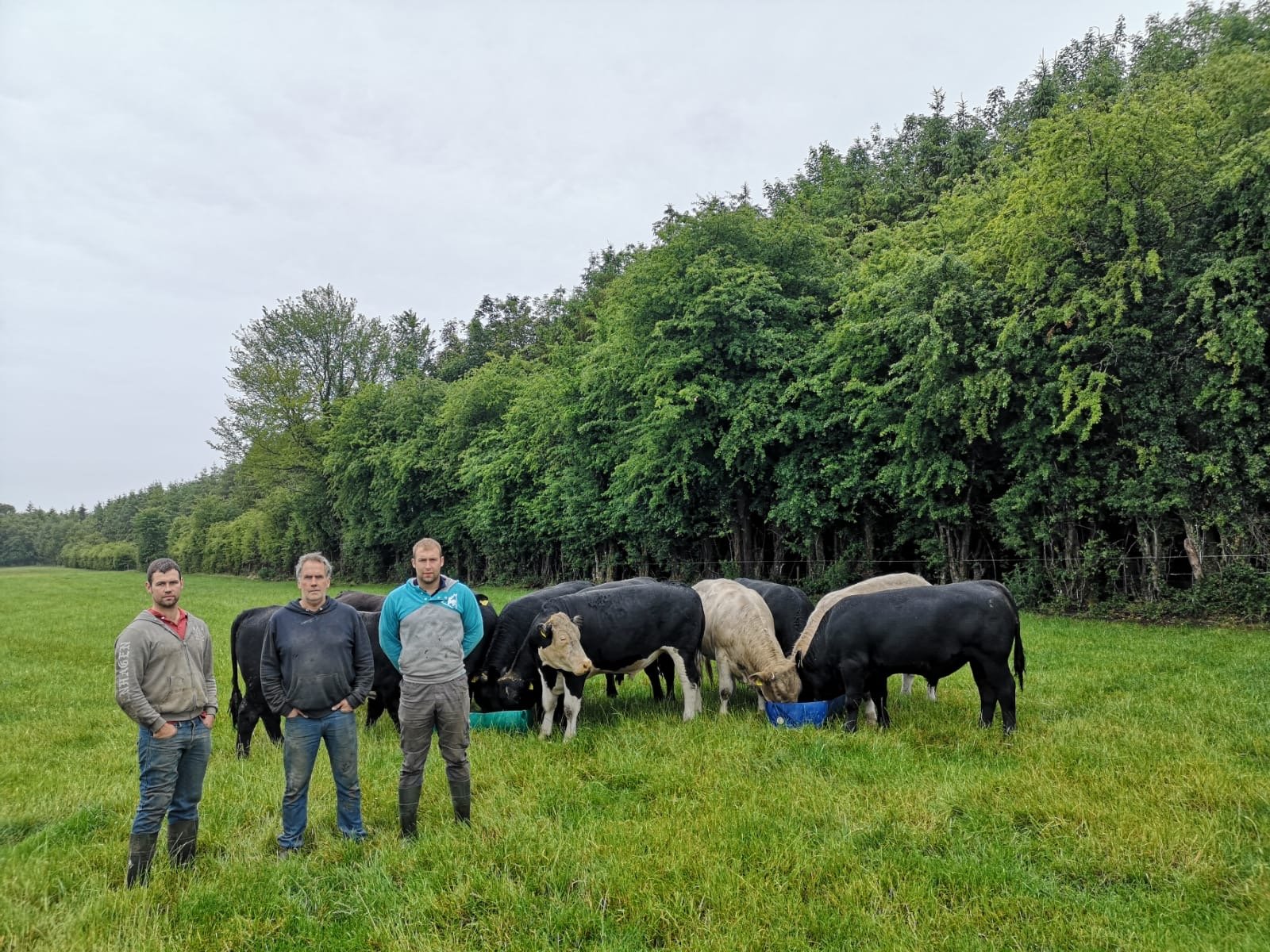 Ivan (centre), Chris and Jason Gethings on their farm near Tullamore, Co. Offaly