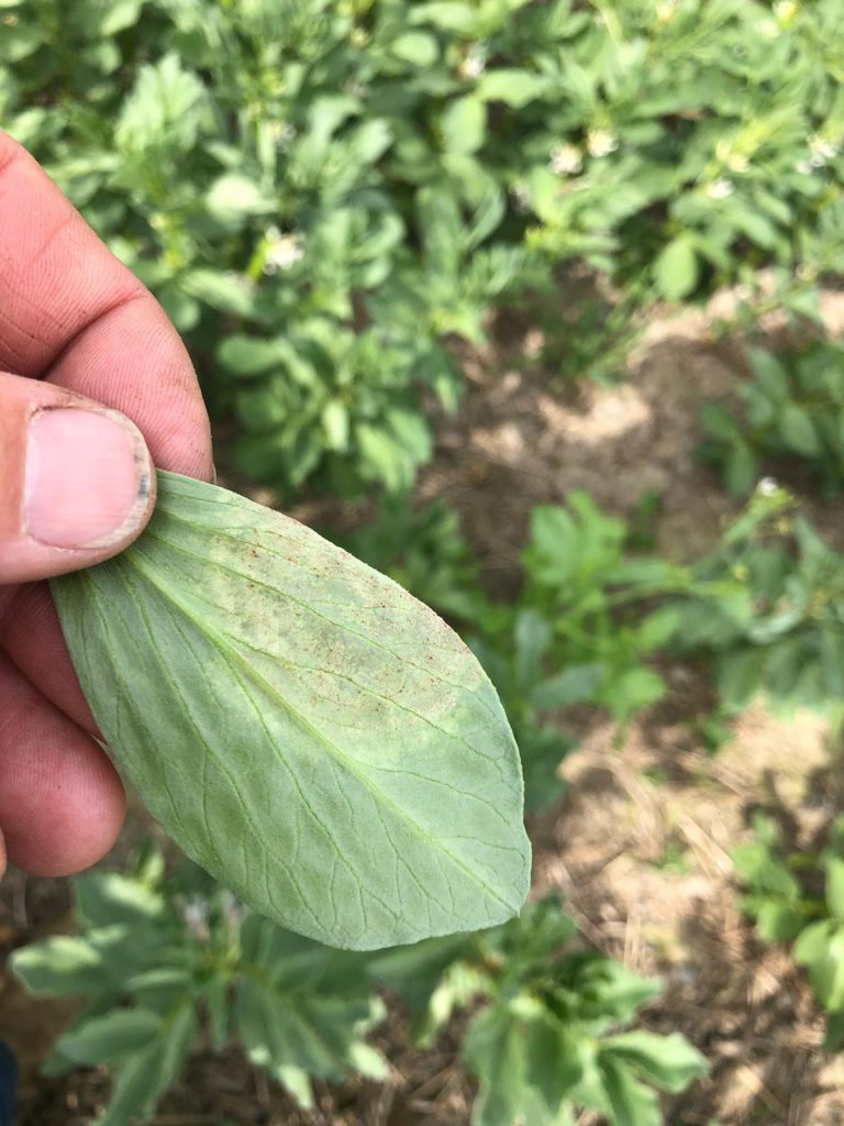 Image source: Stephen McCabe, Haggard Stores