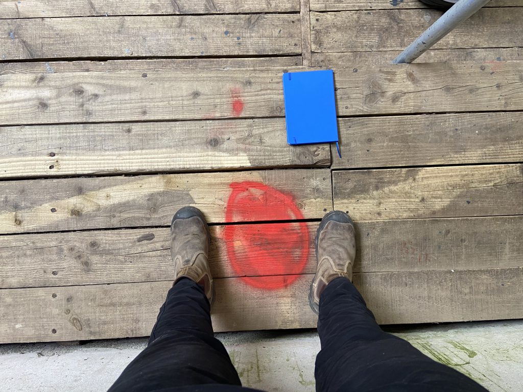 Allocated point located around the sale ring