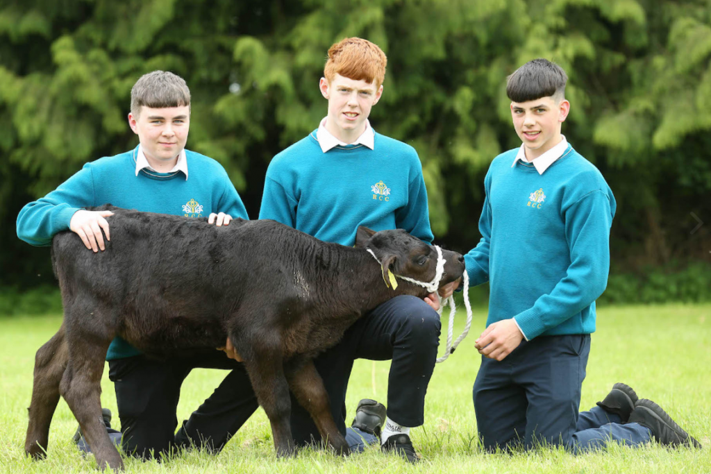 Image source: Finbarr O’Rourke