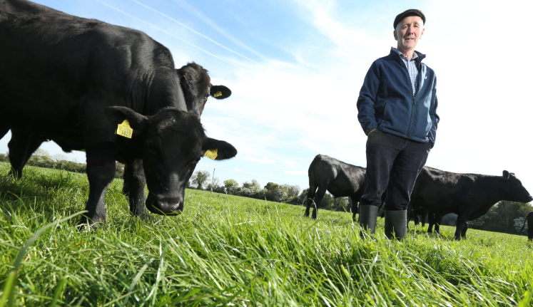 Sean Flanagan, Certified Irish Angus Farmer, Strokestown, Co. Roscommon