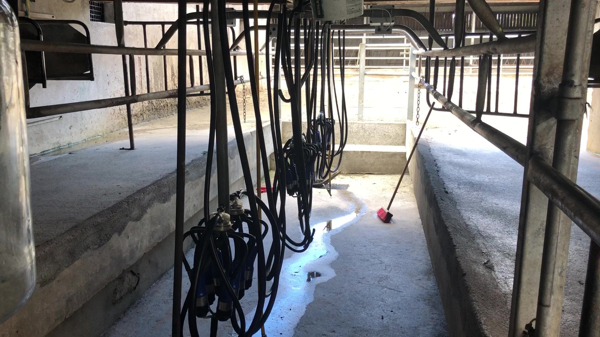 Six-unit milking parlour