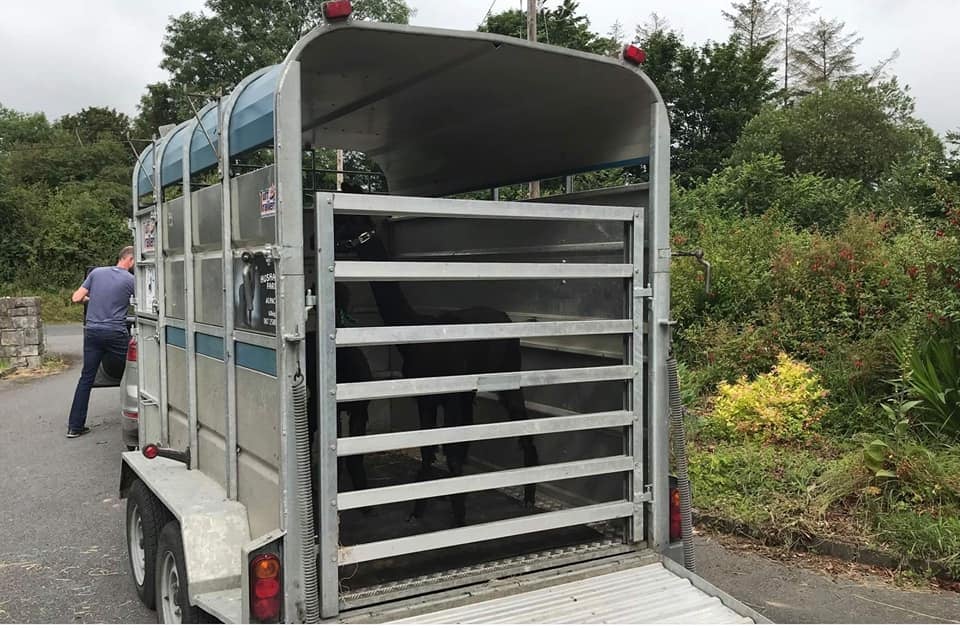 Image source: Garda Síochána Laois Offaly