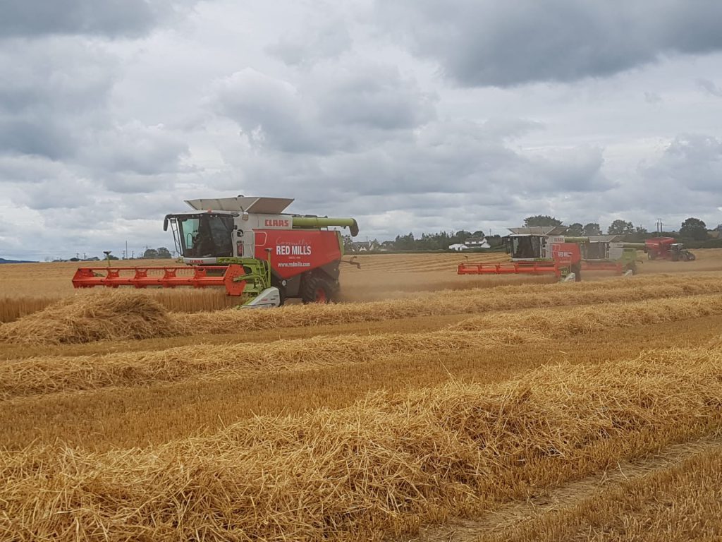 Image source: James O’Reilly