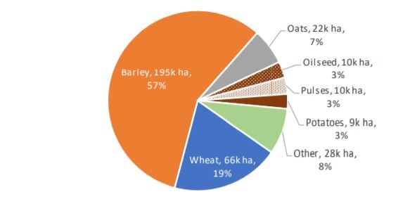 Source: Tillage Industry Ireland / CSO crop production statistics