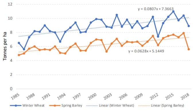 Source: Tillage Industry Ireland / CSO crop production statistics / Teagasc