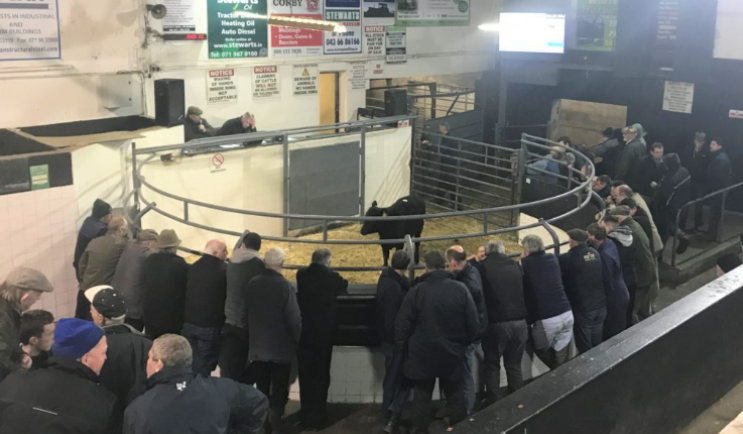 A Monday evening’s sale at Elphin Mart prior to the Covid-19 pandemic