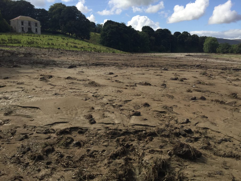 Image source: Damian Carolan