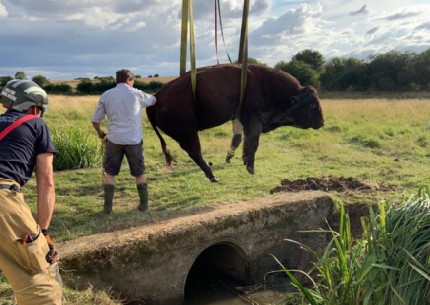 Image source: Essex County Fire and Rescue Service