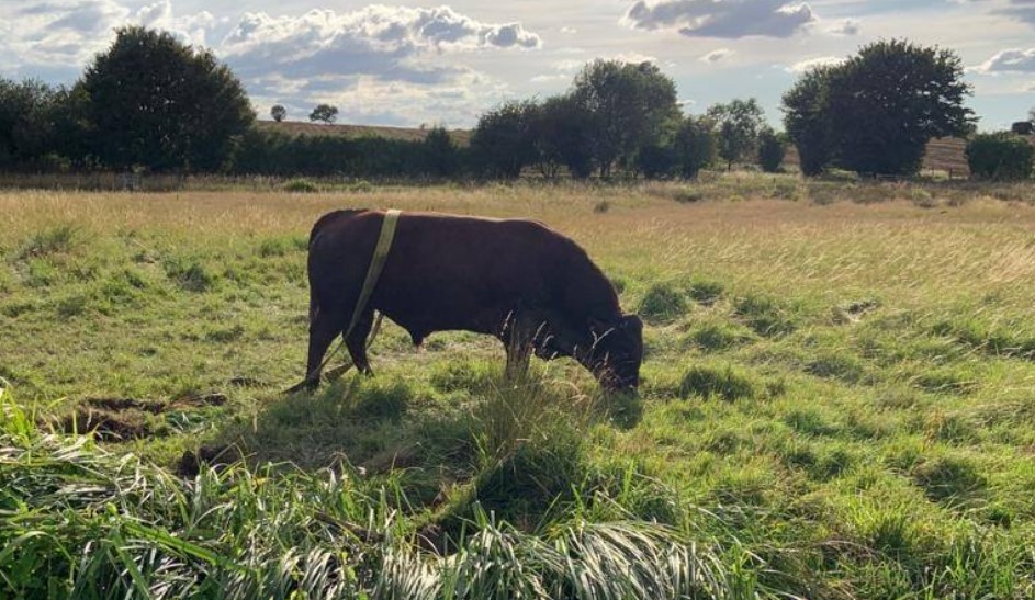 Image source: Essex County Fire and Rescue Service