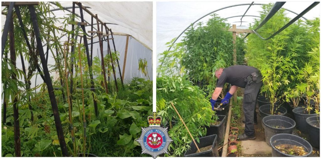 Image source: Dyfed Powys Police