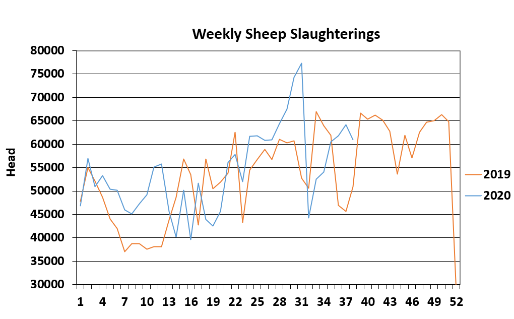 Data source: Department of Agriculture