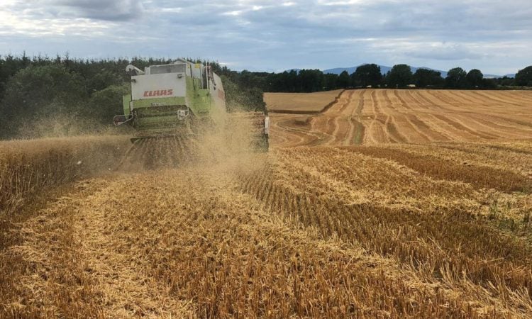 Mark Browne chopping straw last harvest