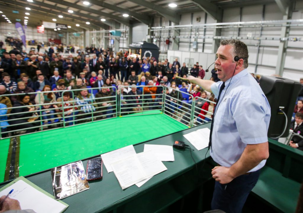 The 2019 Royal Ulster Beef and Lamb Championships.  Image source: RUAS
