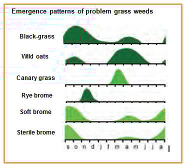 Image source: Teagasc