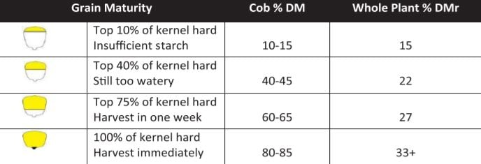Image source: Teagasc