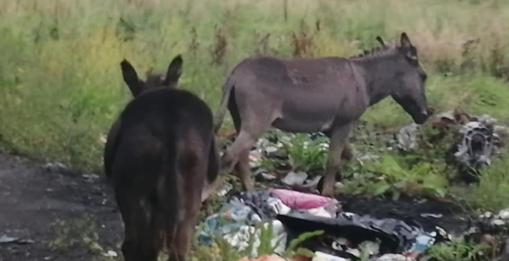 Image source: Garda Síochána Kilkenny/Carlow