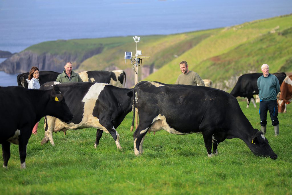 Deirdre de Bhailís, manager, Dingle Creativity and Innovation Hub; and Dingle Farm Ambassadors, Dinny Galvin, Lispole and Ronan Sugrue, Baile an Ghoilín, Dingle, Co. Kerry, on whose land the technology was launched; and Michael Kelliher, Dingle Peninsula. Image source: Valerie O’Sullivan