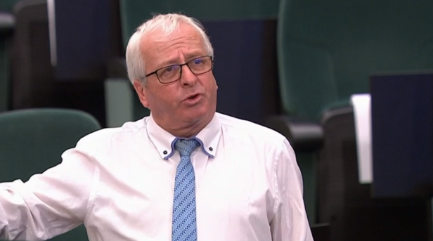Leader of the Rural Independent Group Deputy Mattie McGrath