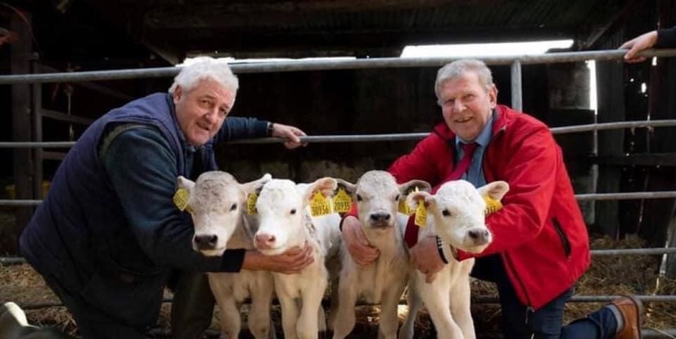 Image source: Gortatlea Mart