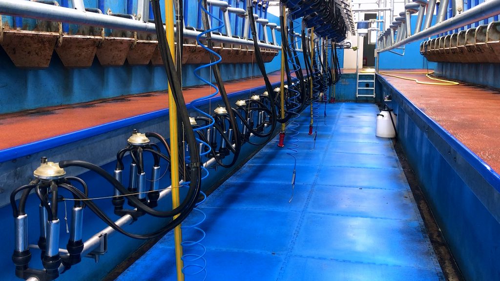 20-unit milking parlour