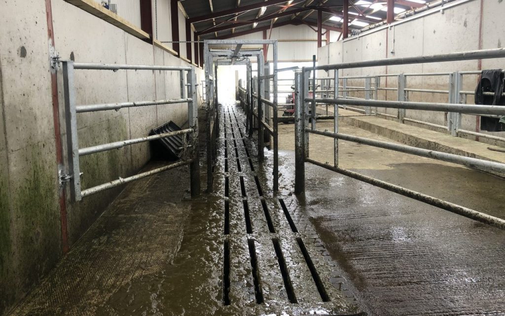 Drafter and exit race