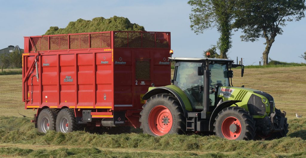 Image source: Shane Casey