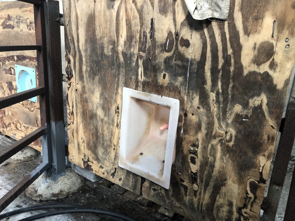 Teat feeder which provides ad-lib milk for the calves