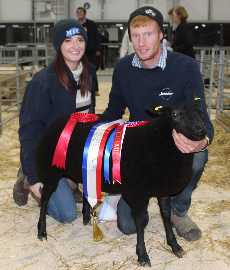 Tommy and Zoe Jackson from Saintfield, Co. Down, with a Dutch Spotted/Vendeen cross ewe lamb