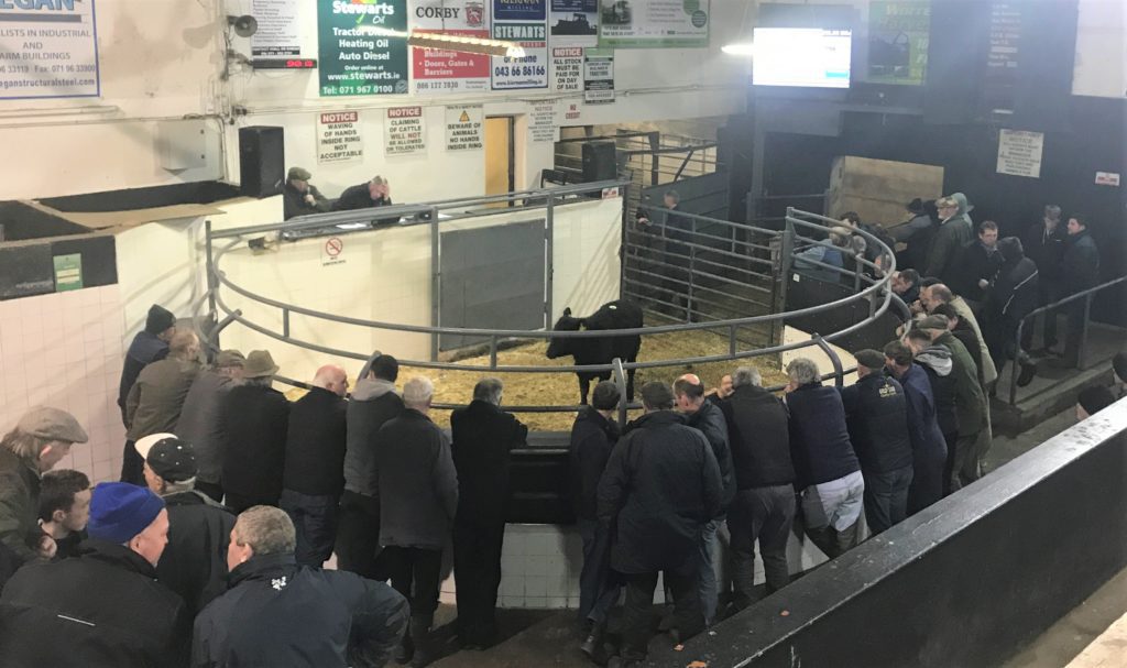 Buyers ringside at Elphin Mart prior to the outbreak of Covid-19