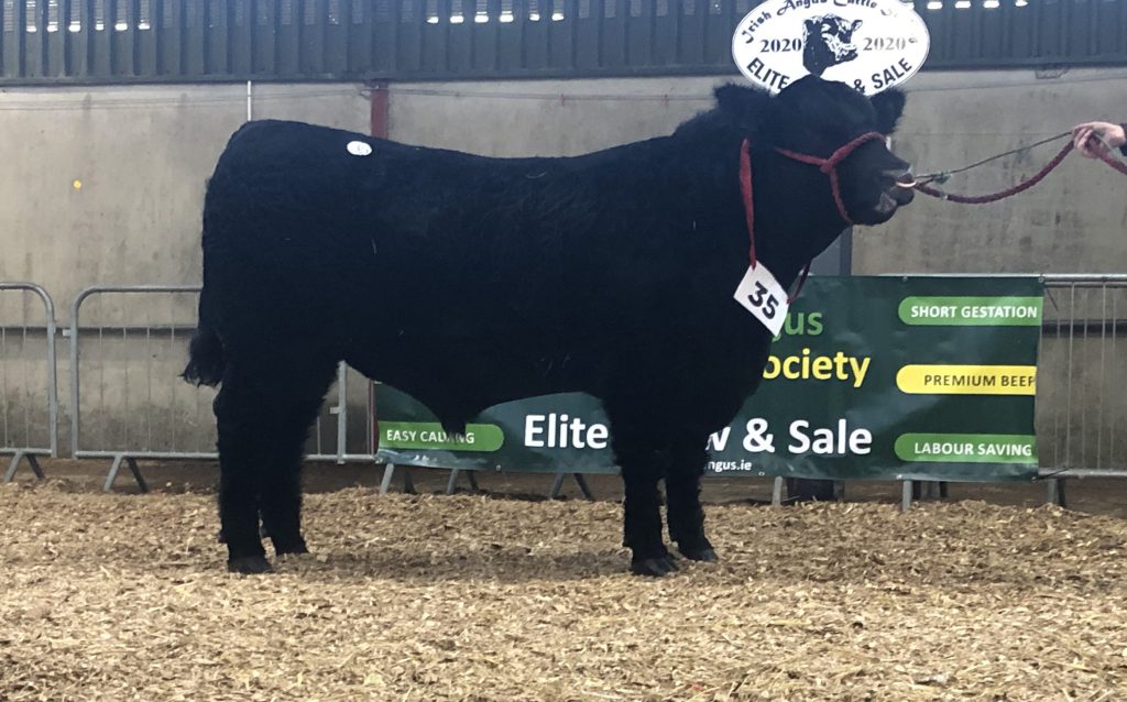 Mercury Saucy Tinge (et)