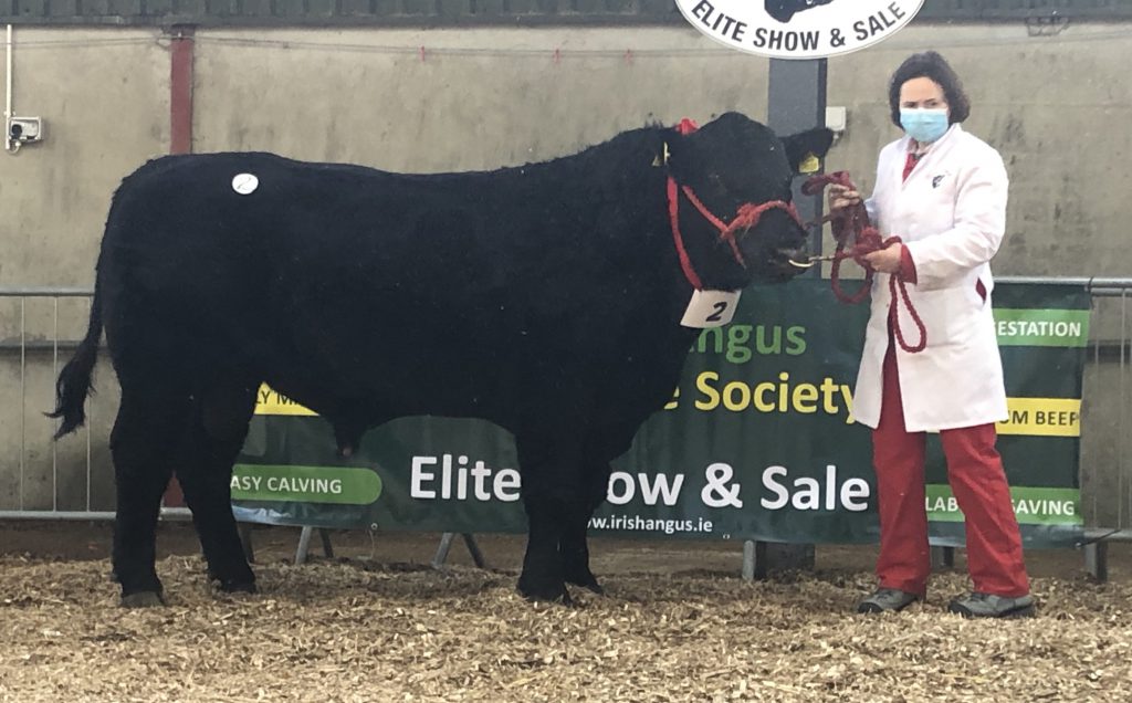 Clara Swanky E.T (et)