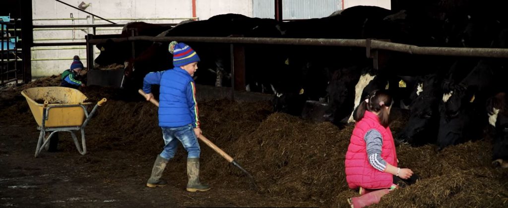Farming is a family affair for the Hickeys