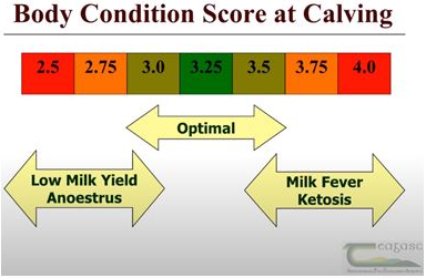 Source: Teagasc