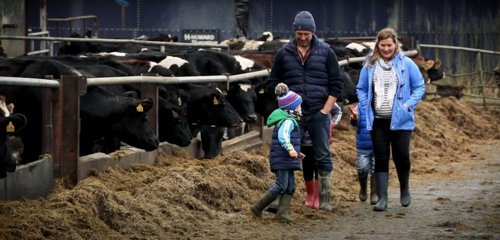 The Hickeys milk 750 cows at two locations