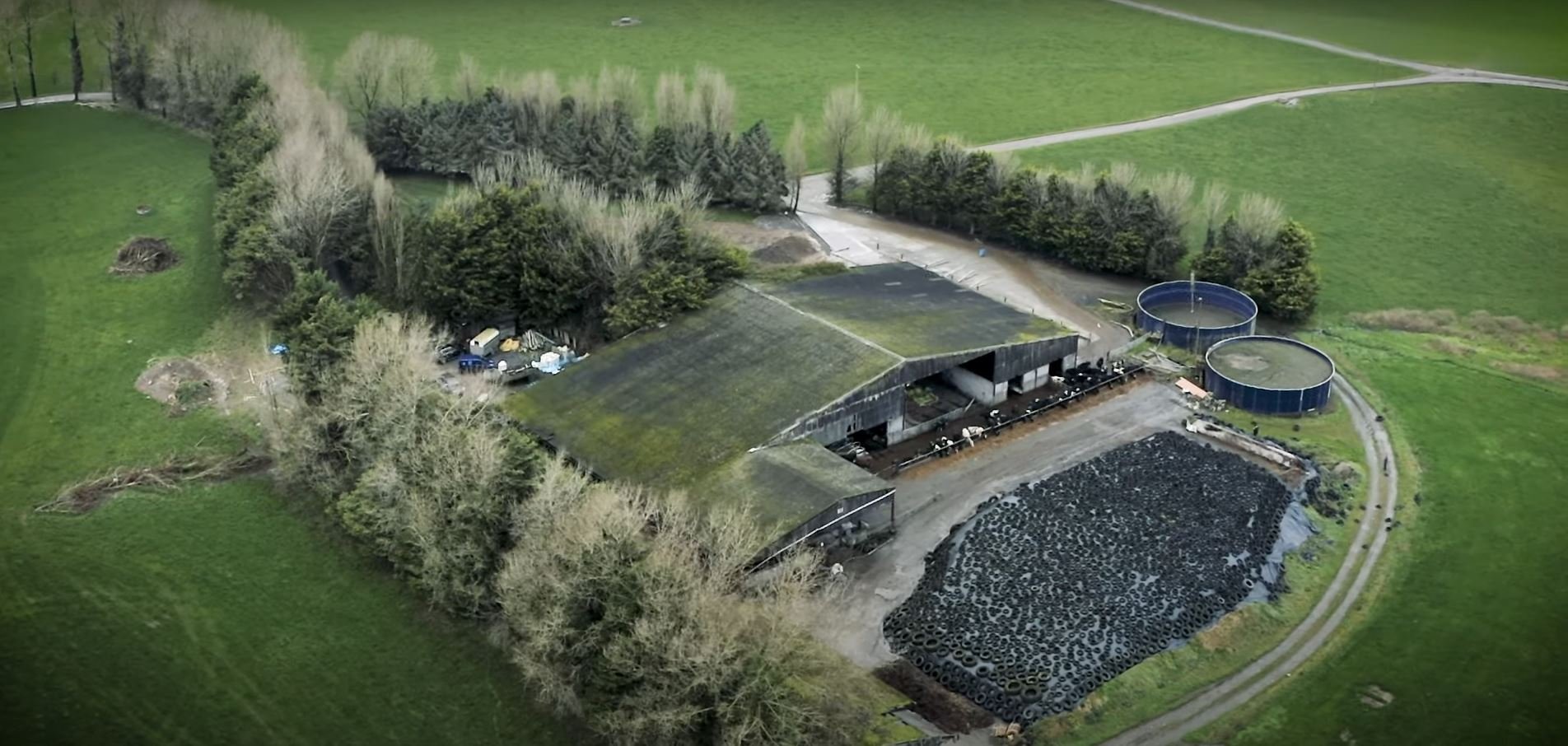 Hickey dairy farm on Longford/Westmeath border