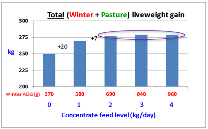 Dairy-beef weanling liveweight gain performance at housing vs. at pasture. Image source: Teagasc
