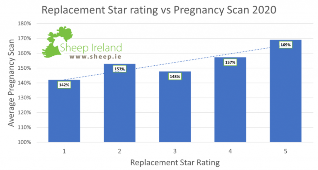 Data source: Sheep Ireland