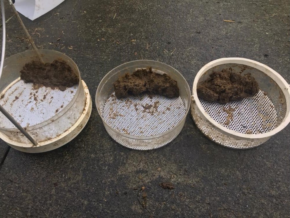 Figure 3: Manure sieving results (from left to right: bottom, middle and top manure sieve)
