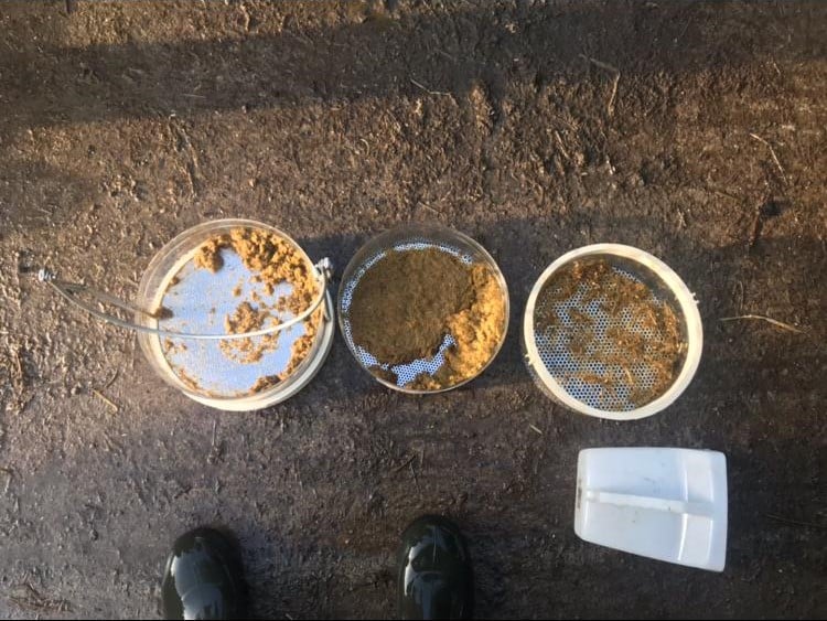 Figure 4: After 10 days (from left to right: bottom, middle and top manure sieve)