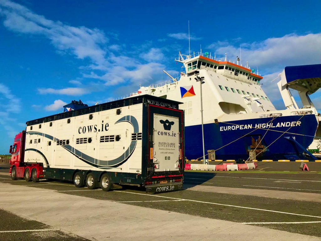 Image source: Cows.ie