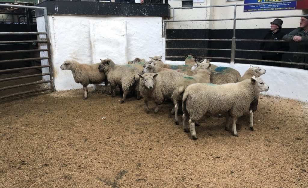 Picture taken prior to Covid-19