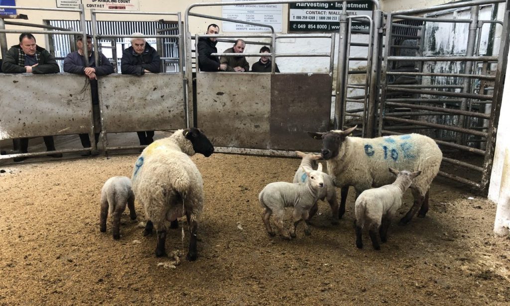 Picture taken prior to Covid-19